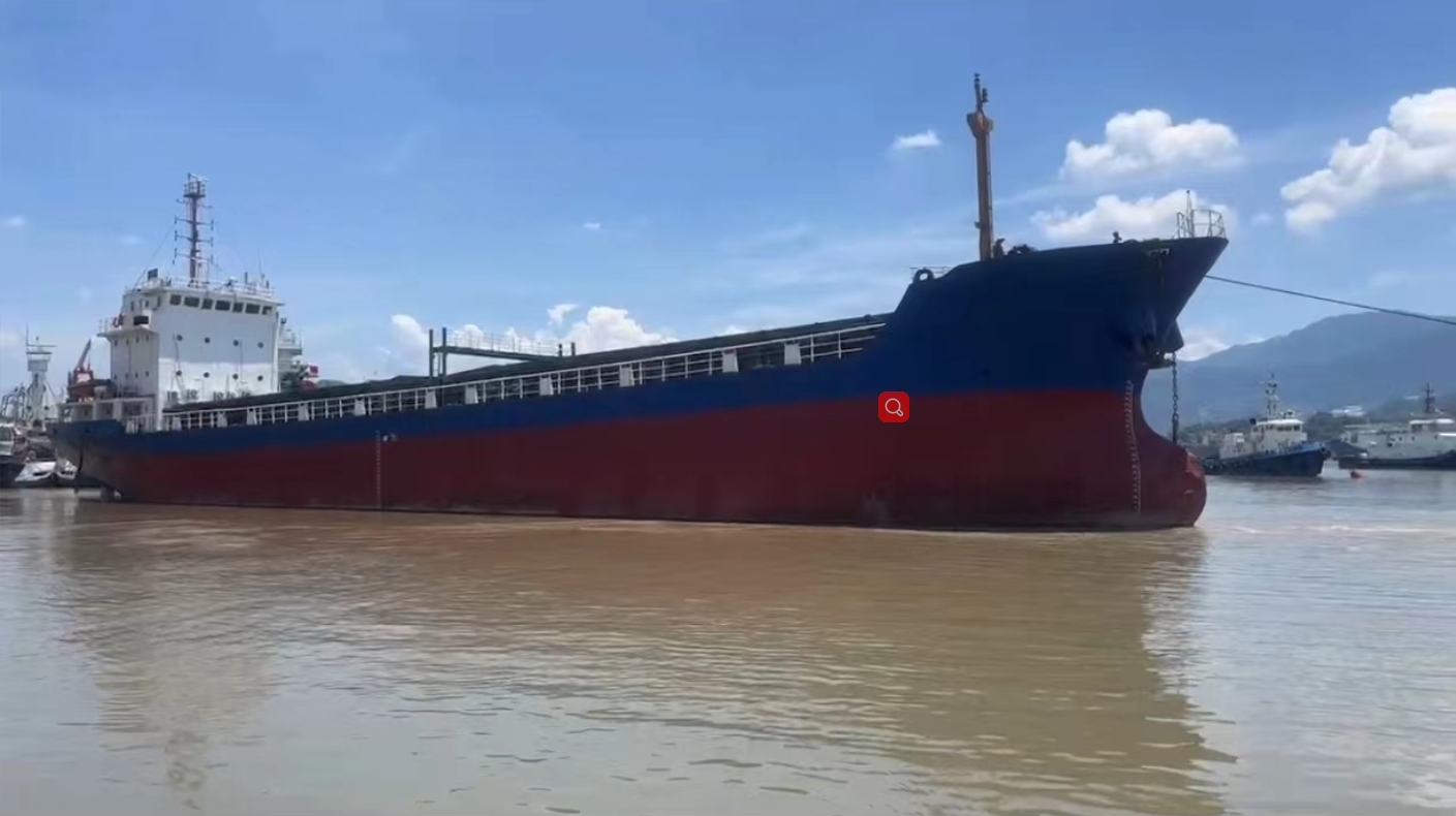 2746 T General Dry Cargo Ship For Sale