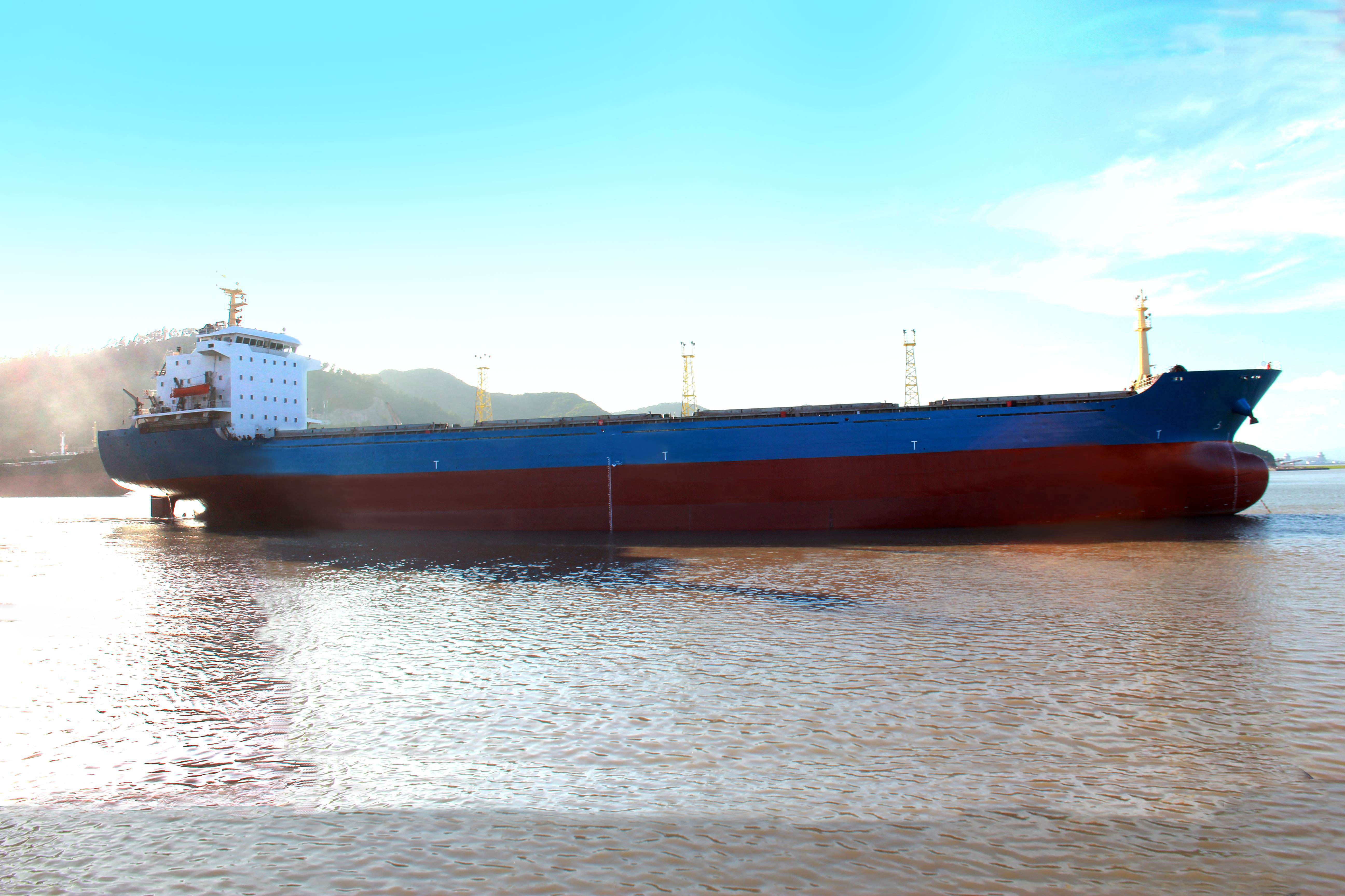 18974 T Bulk Carrier For Sale