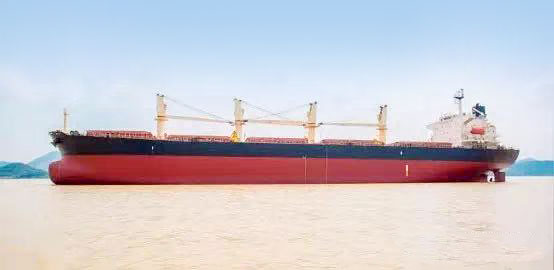 52403 T Bulk Carrier For Sale