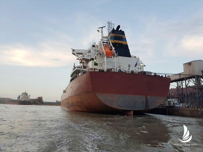 81199 T Bulk Carrier For Sale