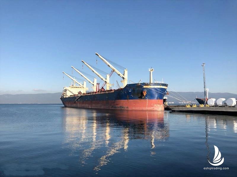 56708 T Bulk Carrier For Sale
