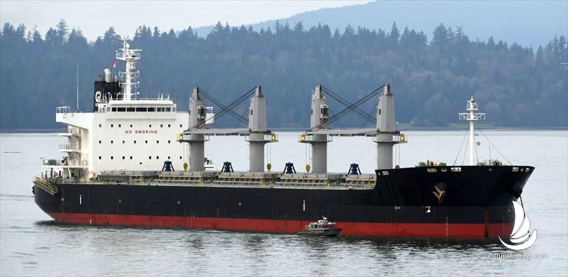 60220 T Bulk Carrier For Sale