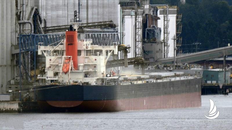 81893 T Bulk Carrier For Sale