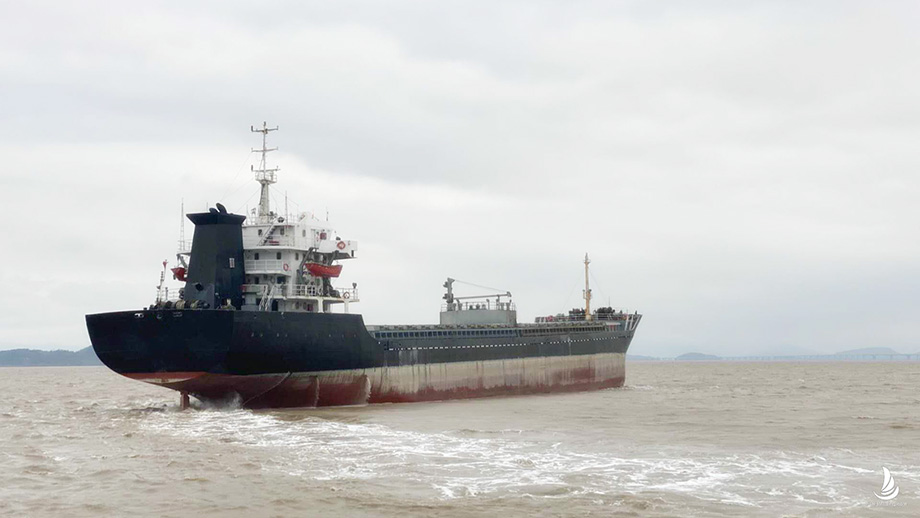 9002 T Bulk Carrier For Sale