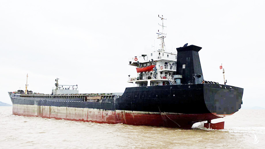 9002 T Bulk Carrier For Sale