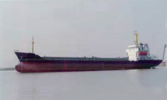 5159 T Bulk Carrier For Sale