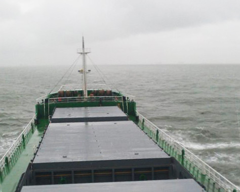 9900 T Bulk Carrier For Sale