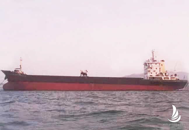 5152 T Bulk Carrier For Sale