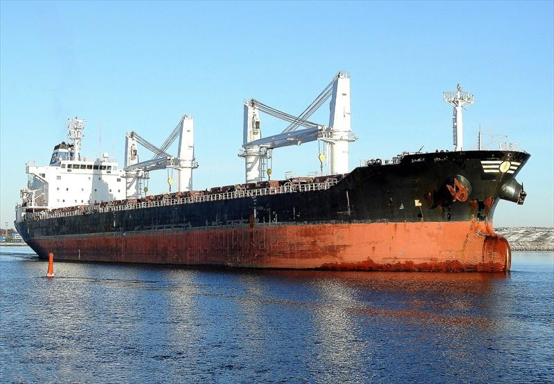 34146 T Bulk Carrier For Sale