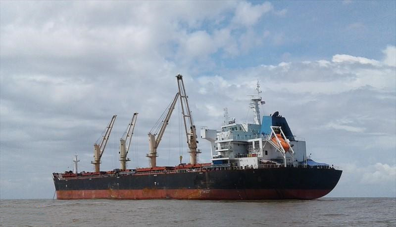56720 T Bulk Carrier For Sale