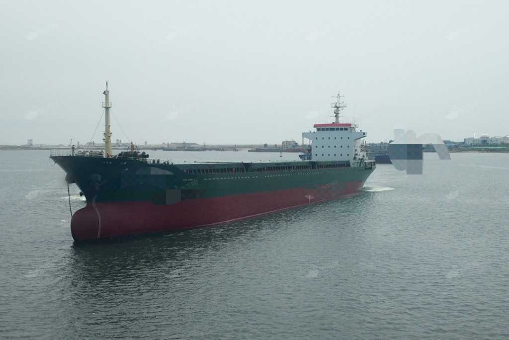 700 TEU Container Ship For Sale