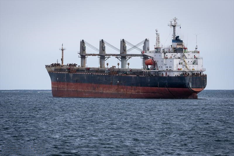 46638 T Bulk Carrier For Sale
