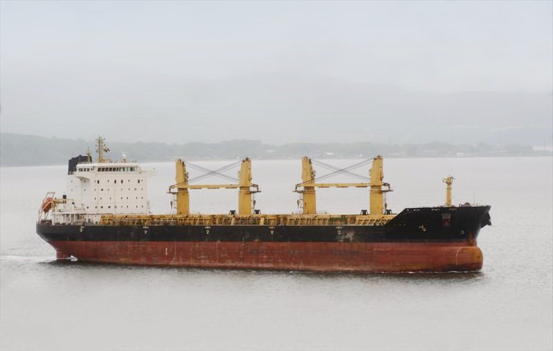 53407 T Bulk Carrier For Sale
