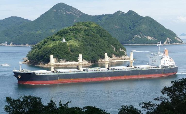 56064 T Bulk Carrier For Sale
