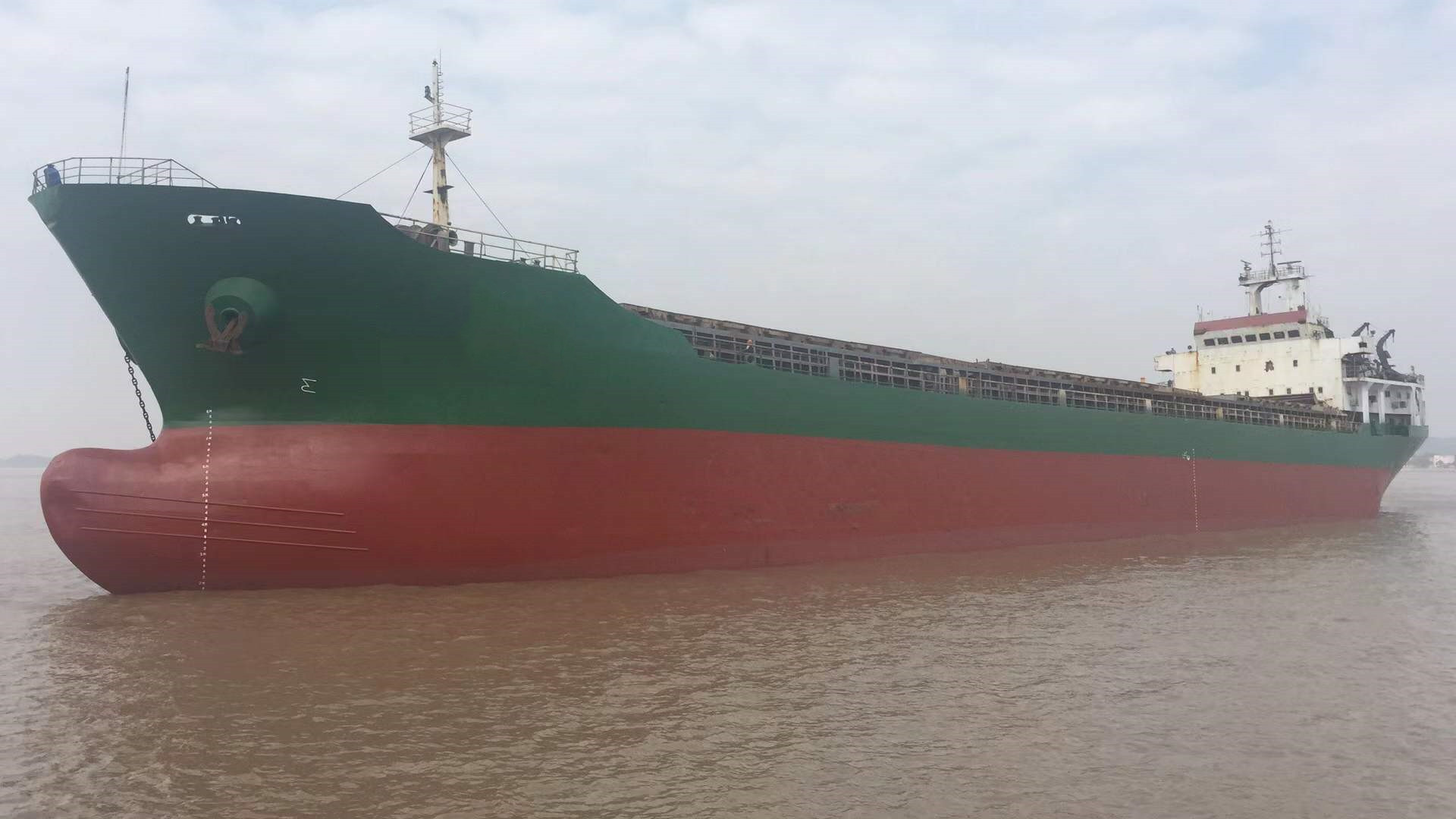 10890 T Bulk Carrier For Sale