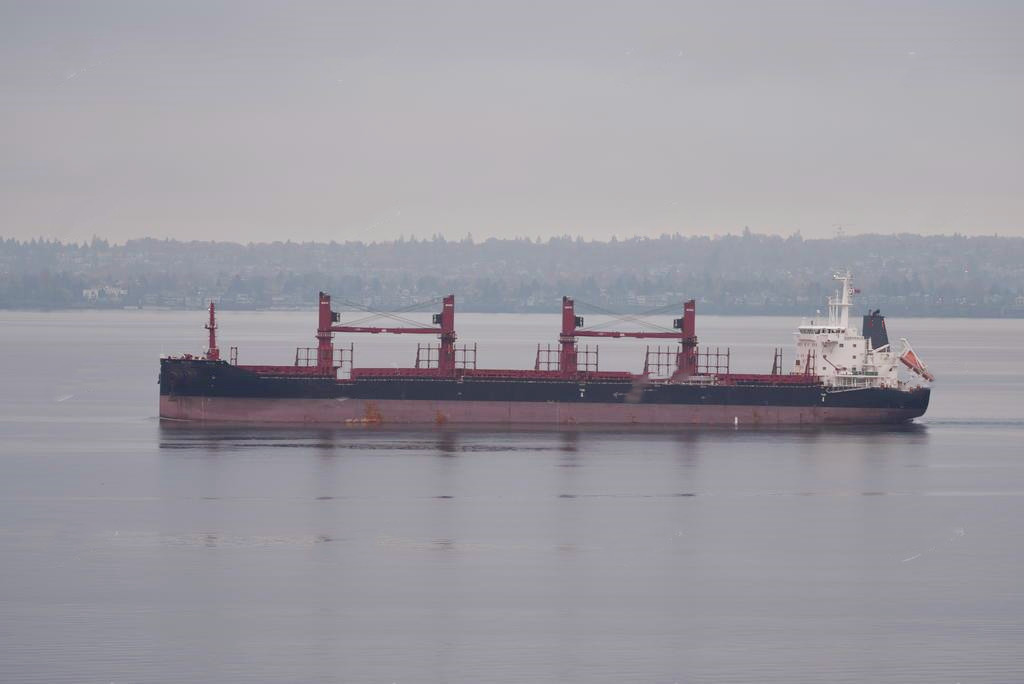 39757 T Bulk Carrier For Sale