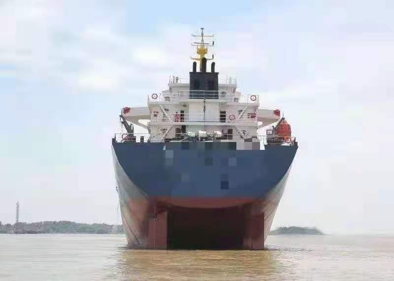 8650 T Bulk Carrier For Sale