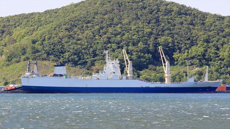 33 Trailers RORO For Sale