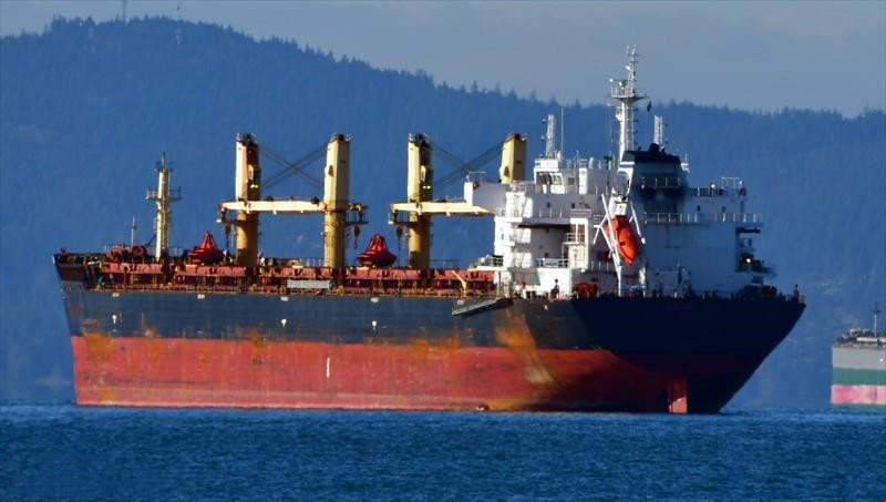 56868 T Bulk Carrier For Sale