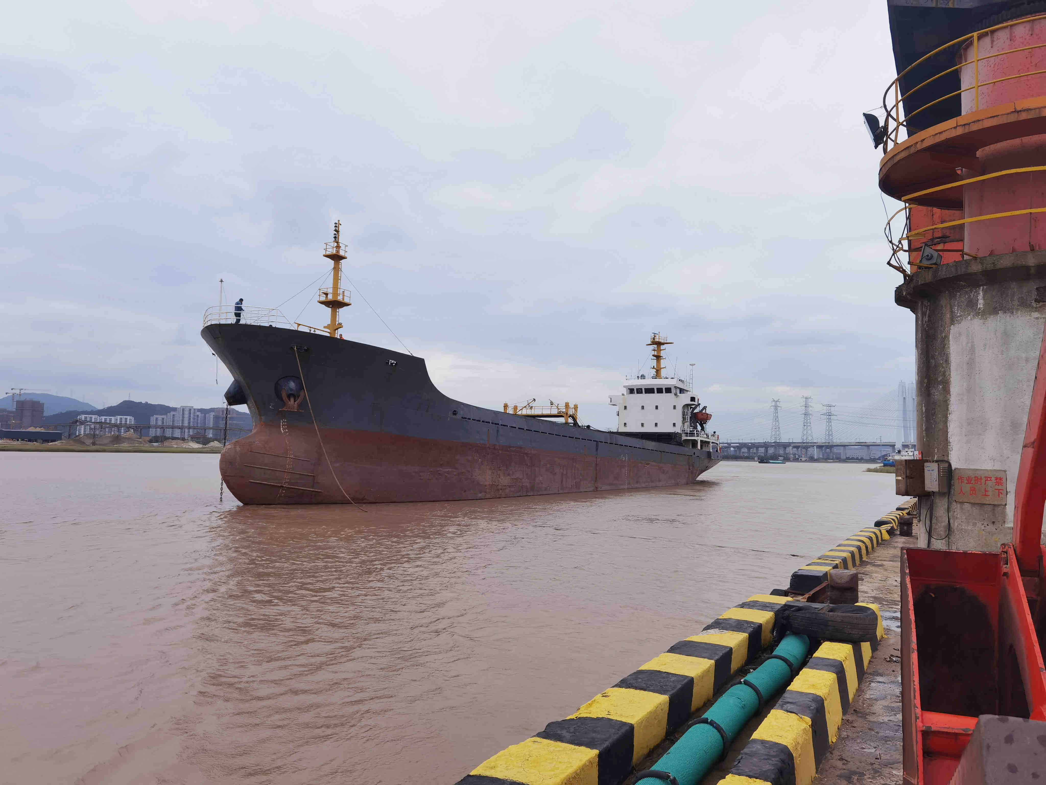 3329 T Bulk Carrier For Sale