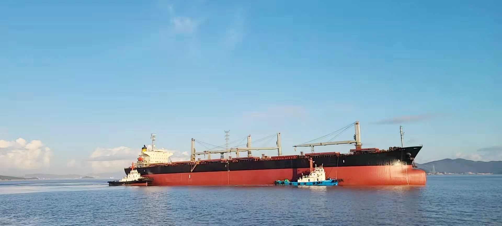 69163 T Bulk Carrier For Sale