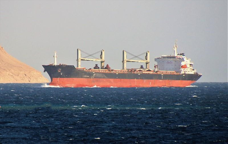 53631 T Bulk Carrier For Sale