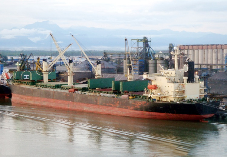 53842 T Bulk Carrier For Sale