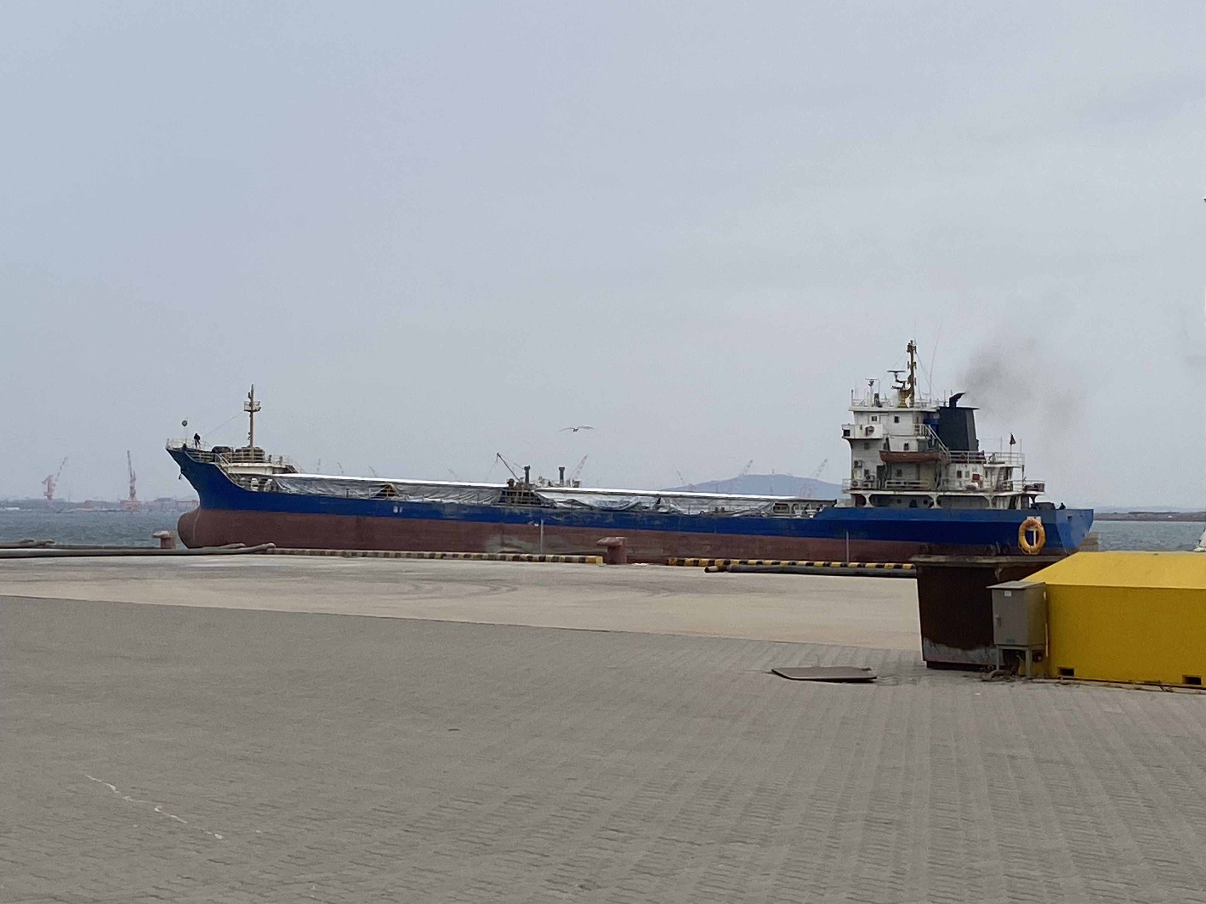5050 T Bulk Carrier For Sale