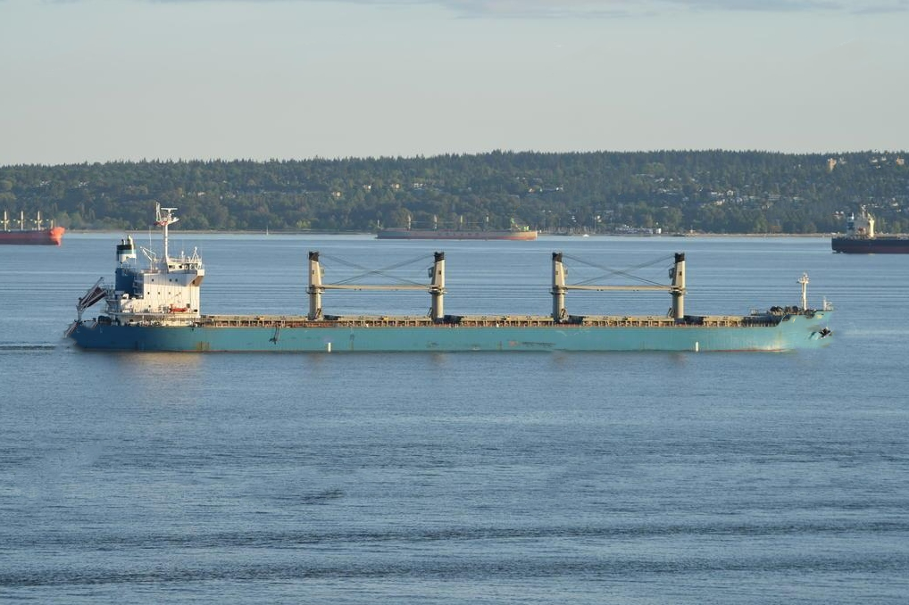 56200 T Bulk Carrier For Sale