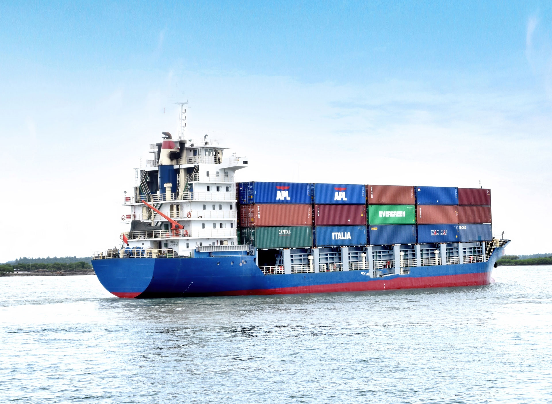 294 TEU Container Ship For Sale