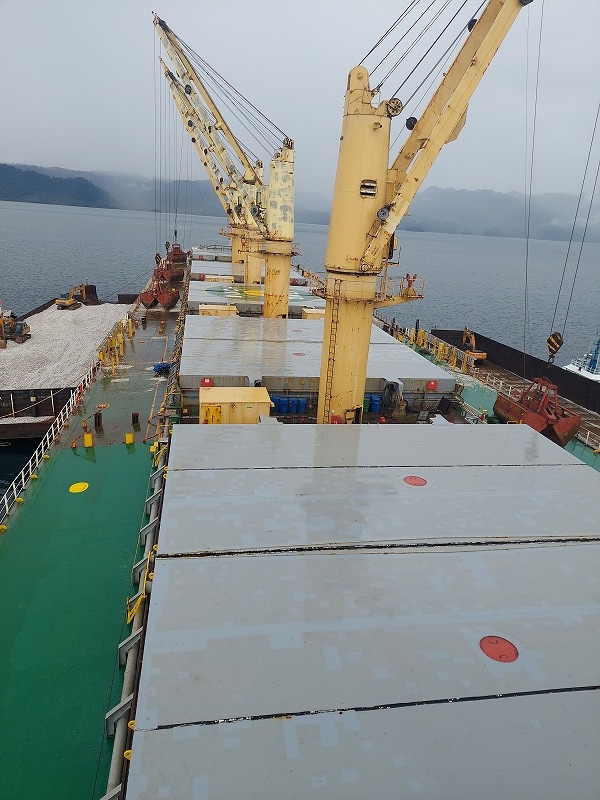 55500 T Bulk Carrier For Sale