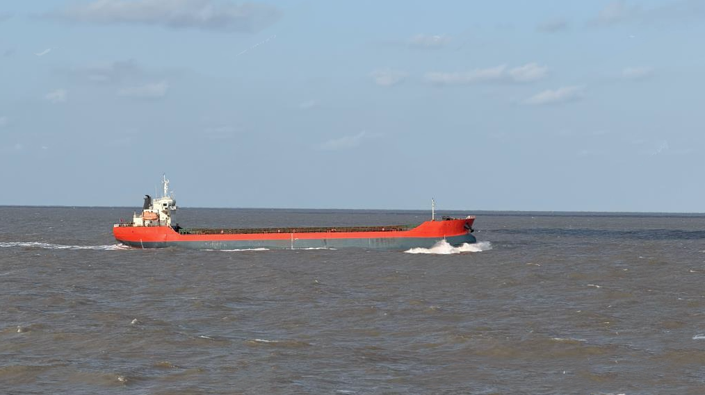 9000 T Bulk Carrier For Sale