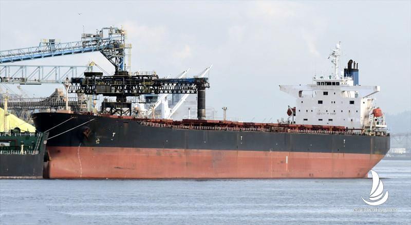 73865 T Bulk Carrier For Sale