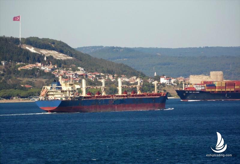 56708 T Bulk Carrier For Sale