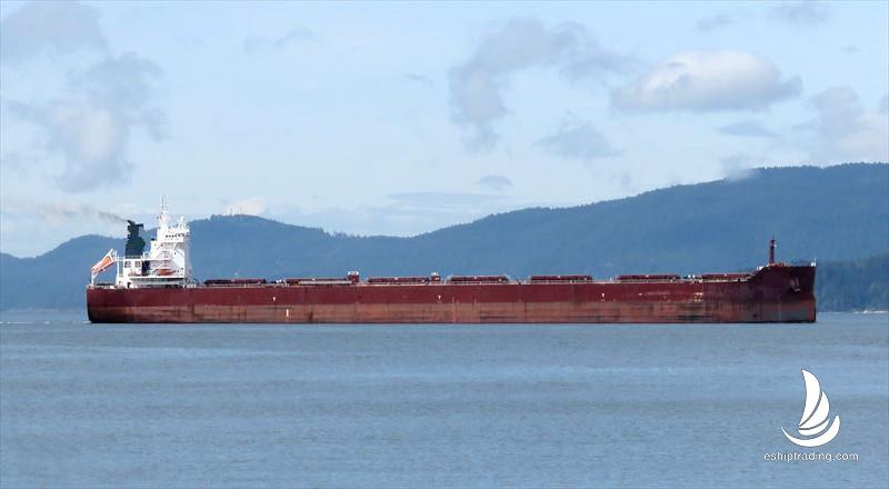 81199 T Bulk Carrier For Sale