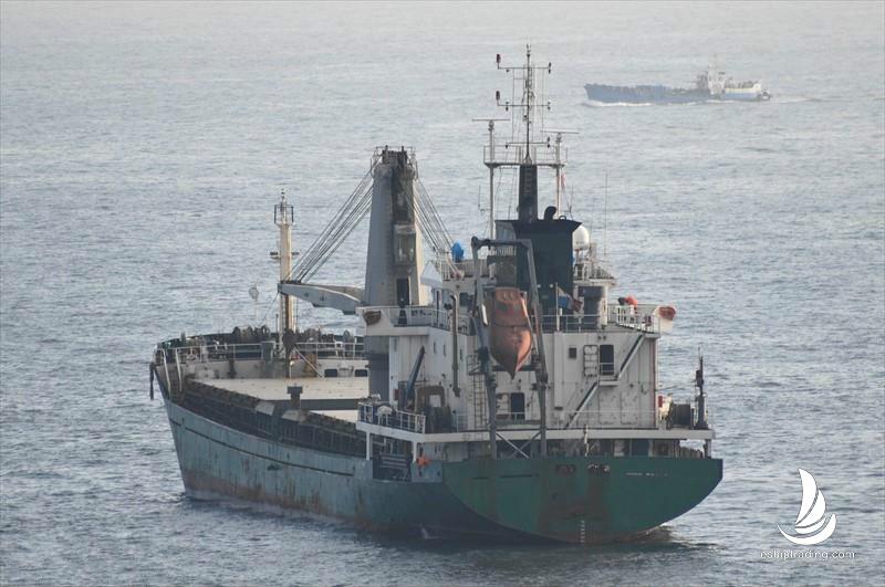 6100 T General Cargo Vessel For Sale