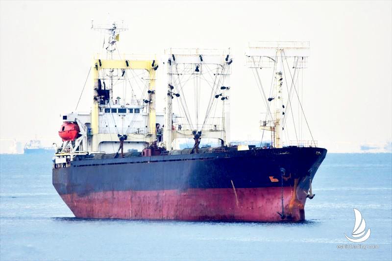 9146 T General Cargo Vessel For Sale