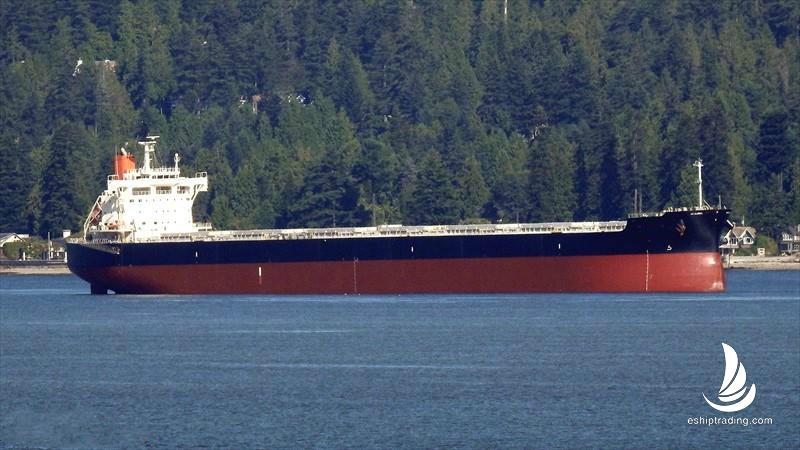 81893 T Bulk Carrier For Sale
