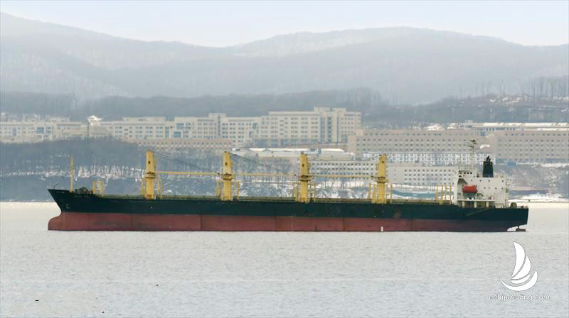 28407 T Timber Carrier For Sale