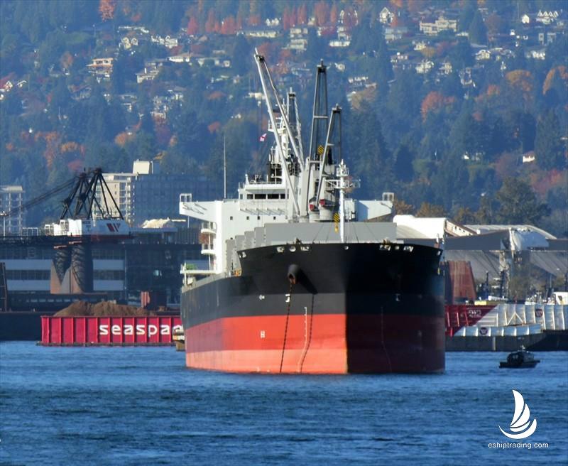 60220 T Bulk Carrier For Sale