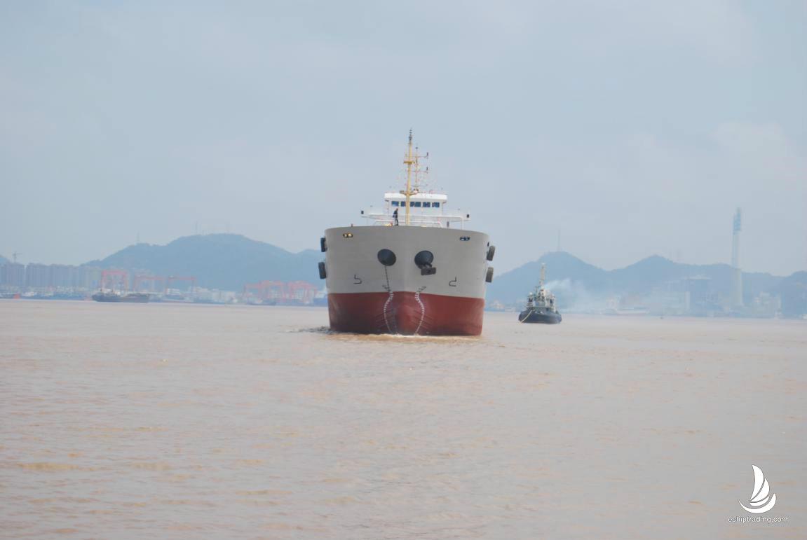 271 TEU Container For Sale
