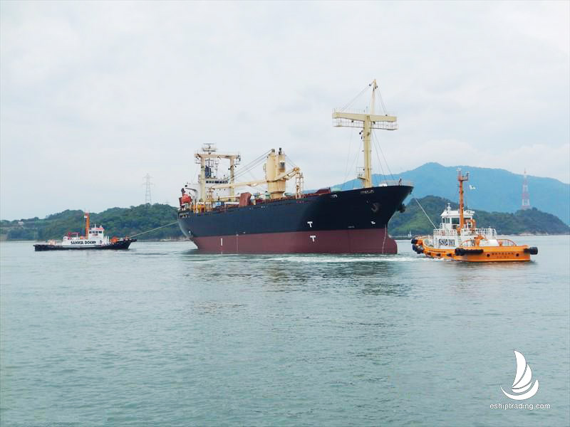 9523 T General Cargo Vessel For Sale