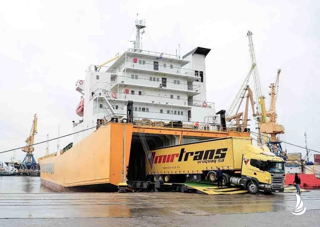 3966 T RORO/LOLO For Sale
