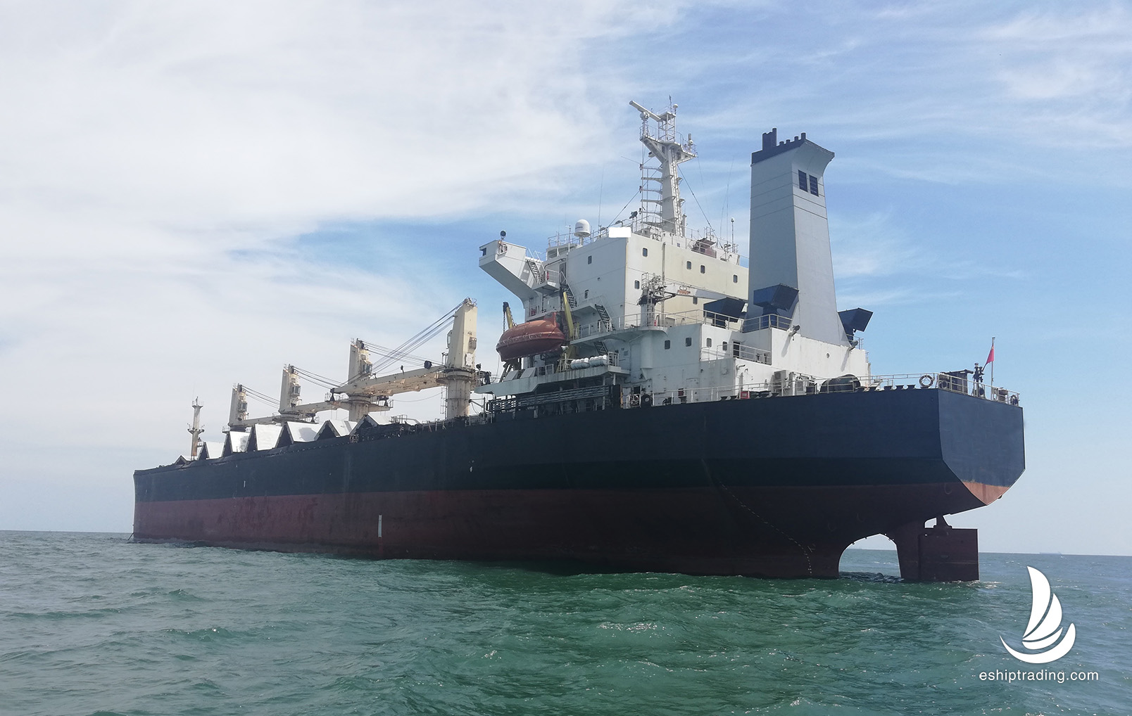 43216 T Bulk Carrier For Sale