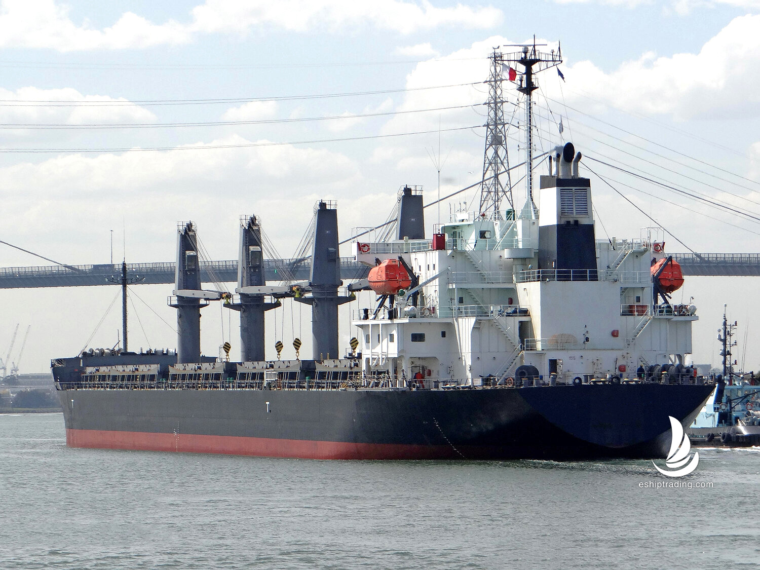 35065 T Bulk Carrier For Sale