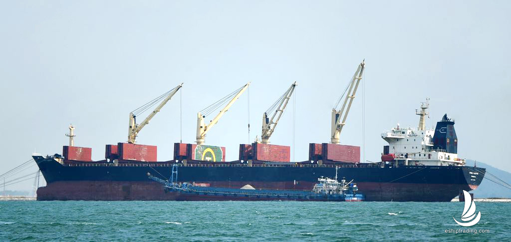 51215 T Bulk Carrier For Sale