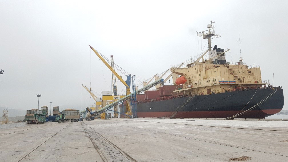 46644 T Bulk Carrier For Sale