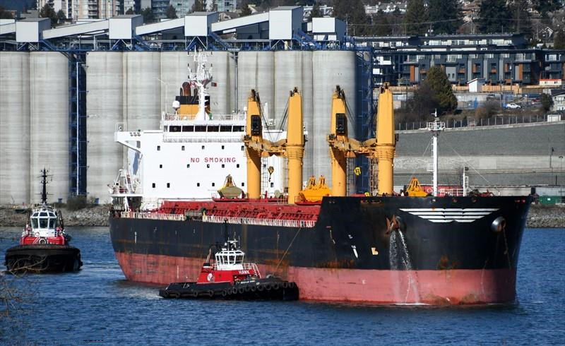 58474 T Bulk Carrier For Sale