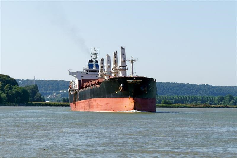 34146 T Bulk Carrier For Sale