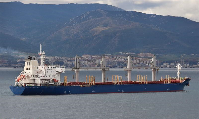 30003 T Bulk Carrier For Sale